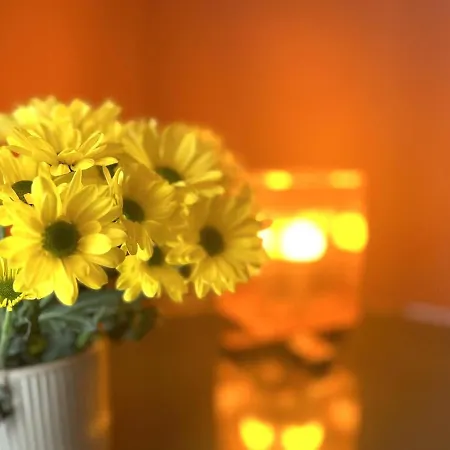 Istria 아파트 바리